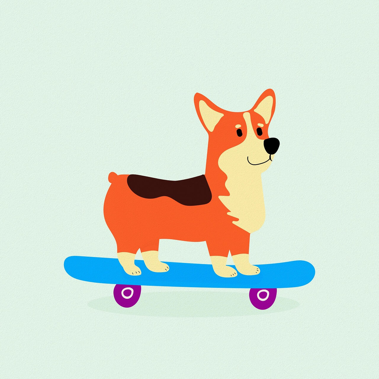 🏞️ 반려견과 함께 떠나는 국내 여행 코스 완벽 가이드