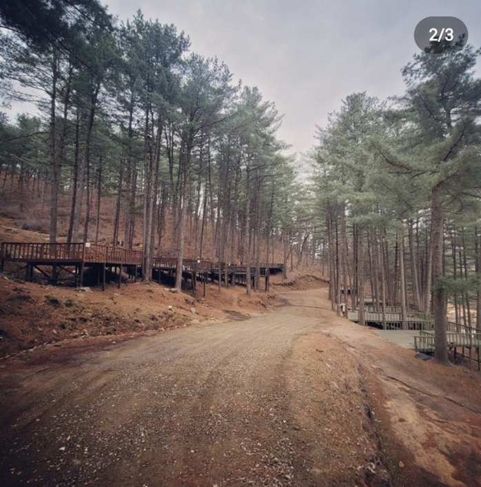 경기-포천-유식물원-캠핑장-사진-입니다.