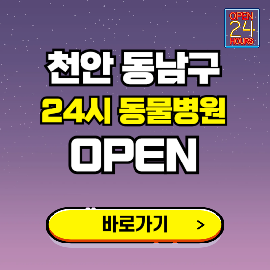 천안시 동남구 24시 동물병원 진료하는 곳 ❘ 설날 휴일 야간 심야 문여는곳 찾기 ❘ 응급진료
