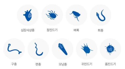 넥스가드 스펙트라 케어 가능 구충