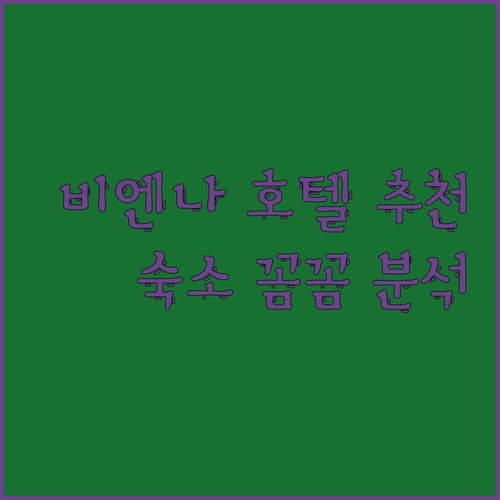 비엔나 호텔 추천? 숙소 규정부터 후