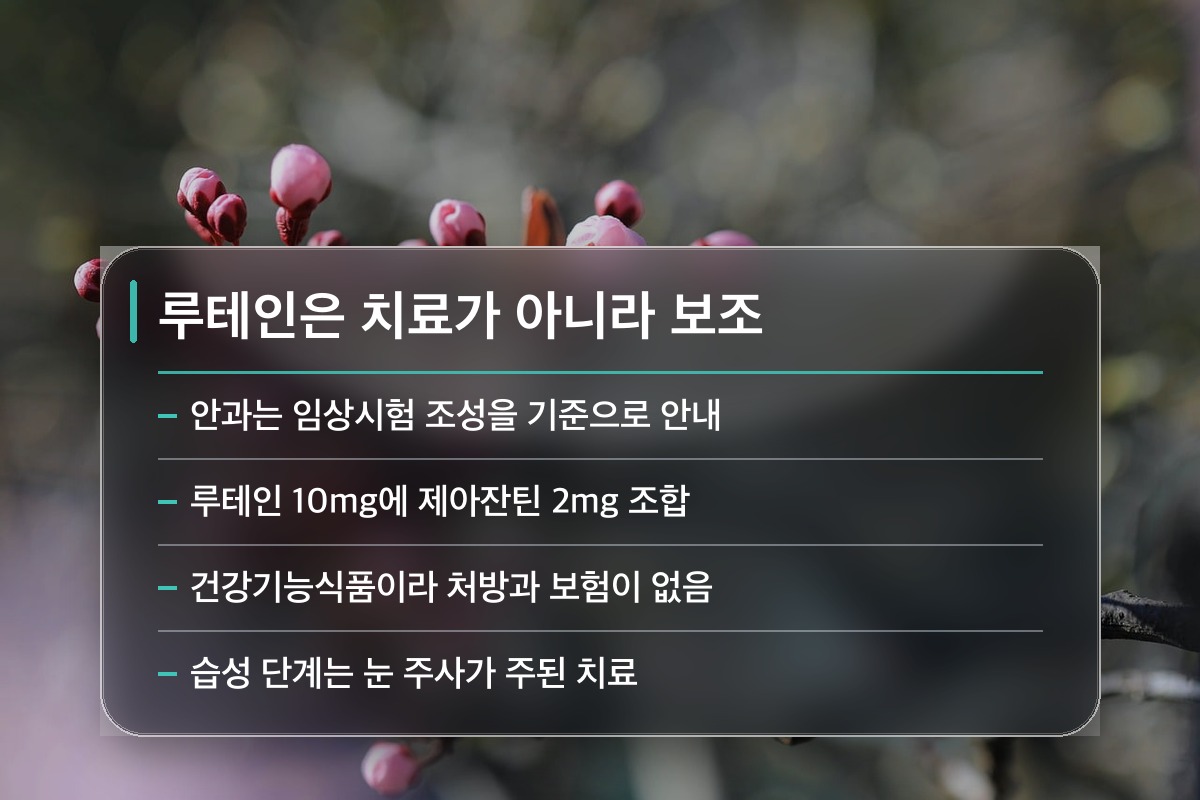루테인 효능 병원에서는 루테인 효능을 어떻게 다루나요?