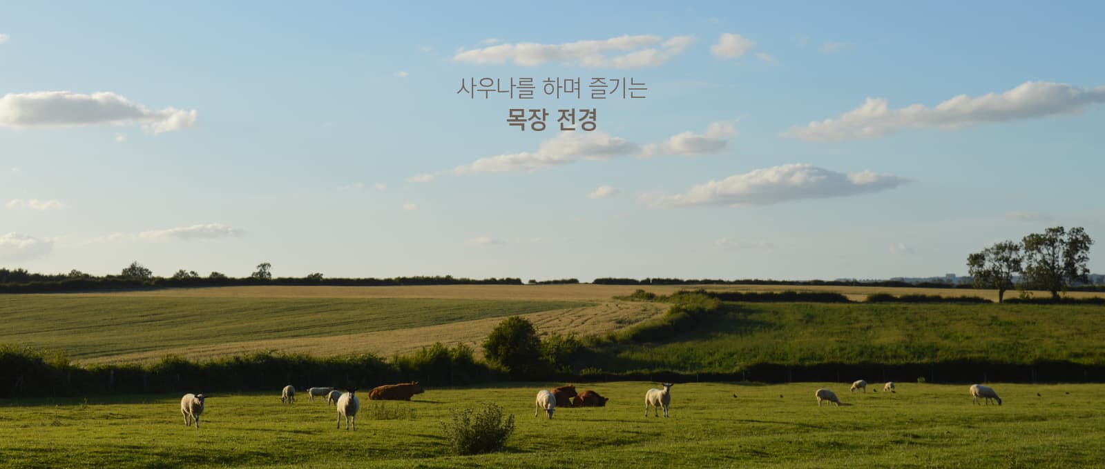 상하농원 시리즈 2편 ❘상하호텔 & 글램핑 완벽 비교 후기, 예약 방법 및 꿀팁