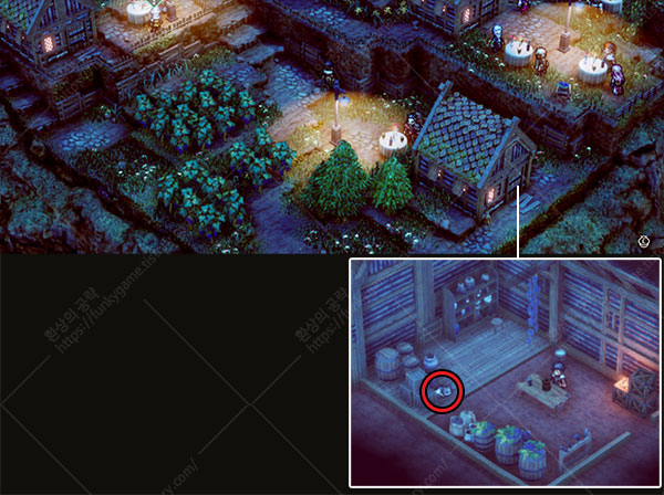 테리오르 거리 고양이 이미지