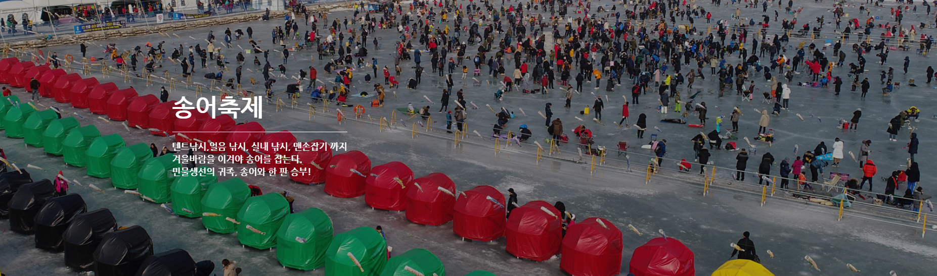 강원도 평창 송어 축제