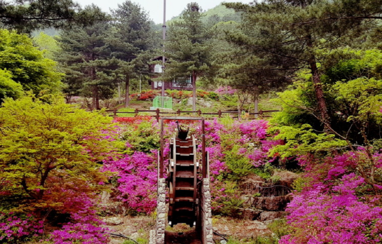 가평 가볼만한곳
