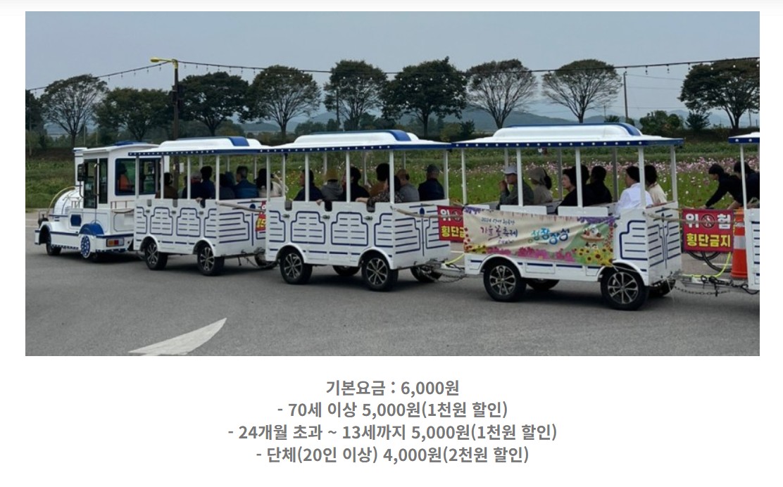 장성 황룡강 꽃길 축제