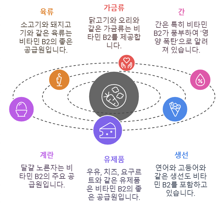 비타민 B2 함유 음식