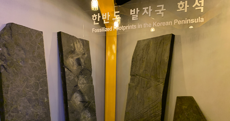 고성 공룡엑스포