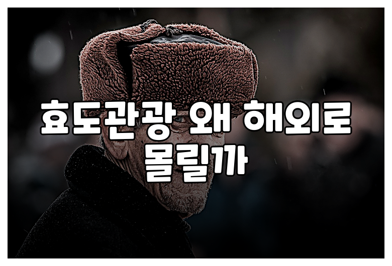 효도관광 왜 해외로 몰릴까