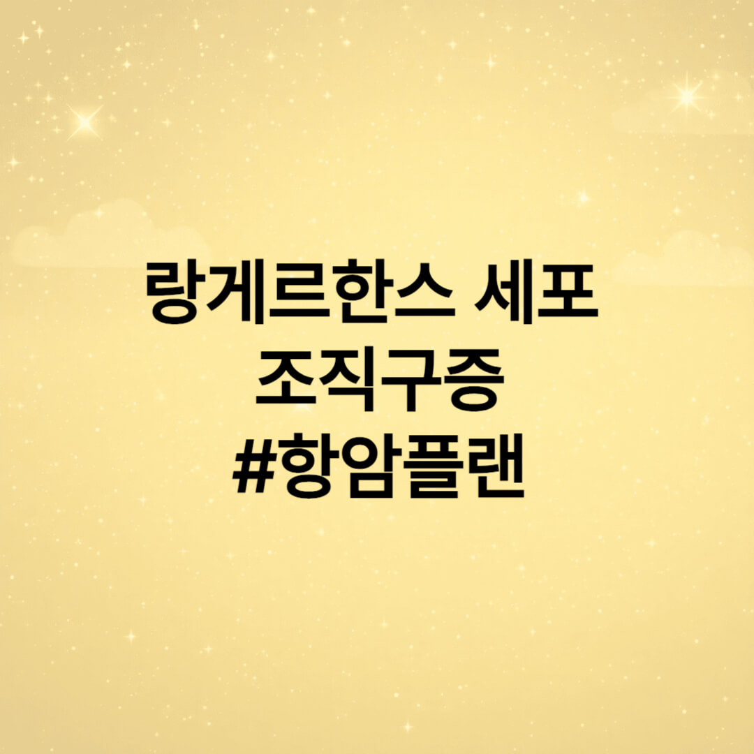 랑게르한스 항암플랜