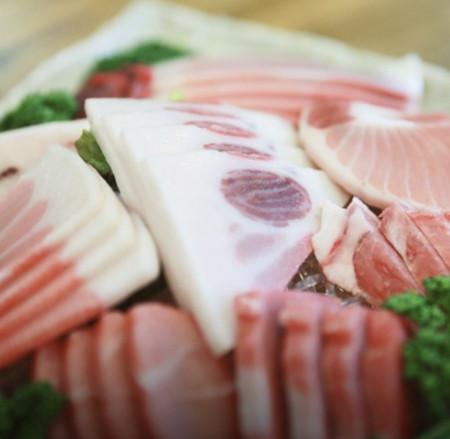 생생정보 고성 참치숯불구이 참치회 맛집(믿고 떠나는 스타의 고장 손범수)