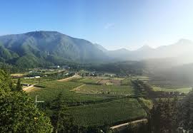 울릉도 관광코스 추천