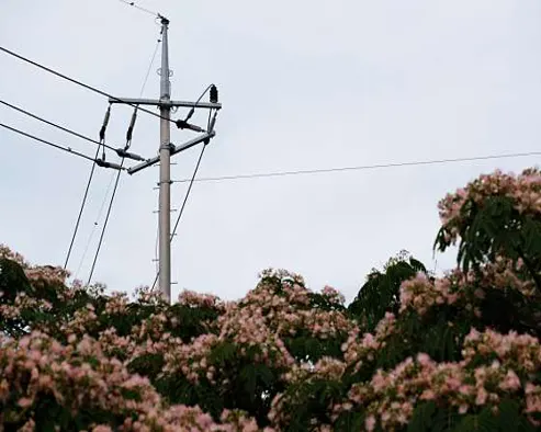 백수해안도로