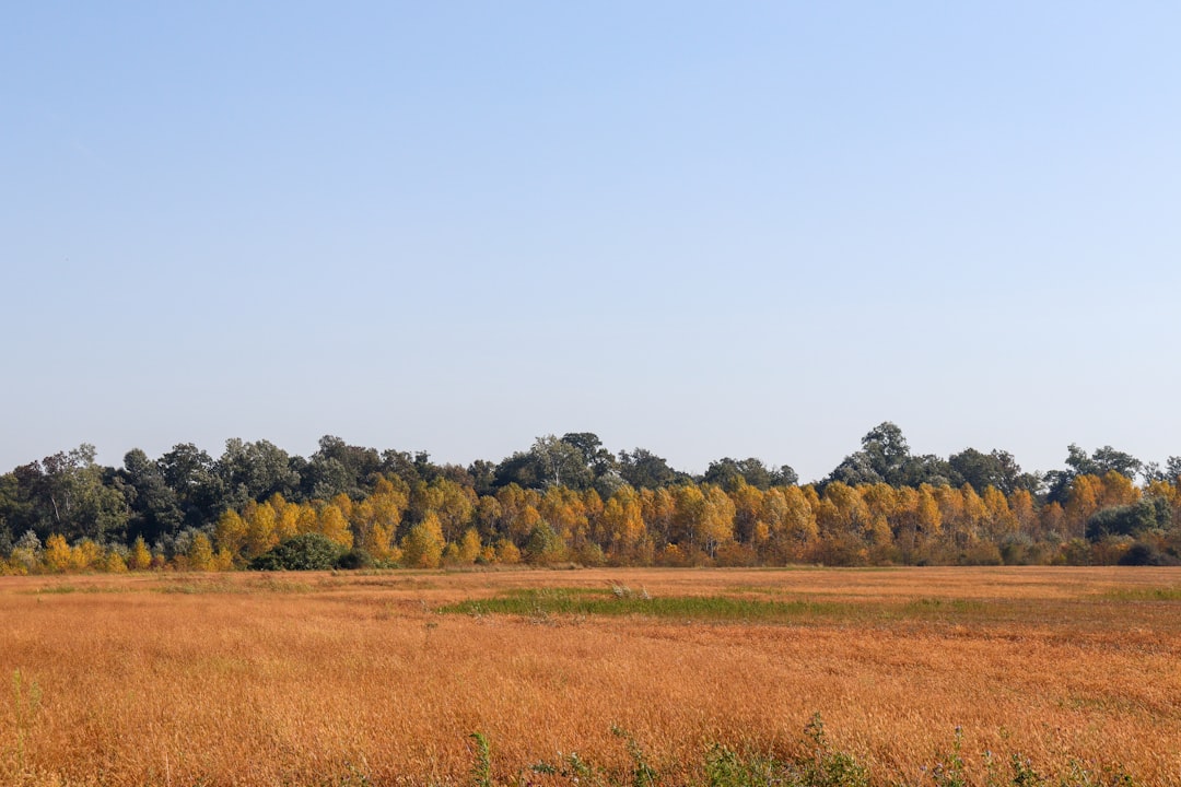 Land.