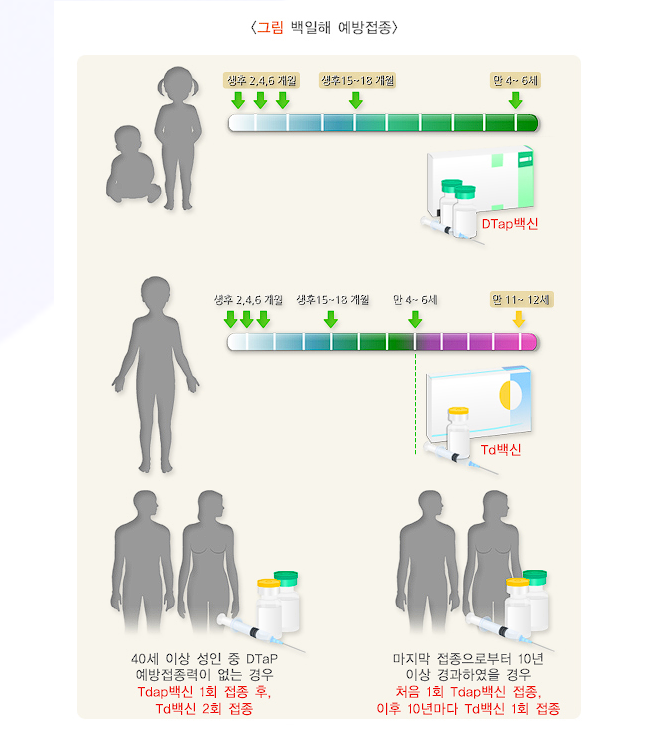 백일해 예방접종