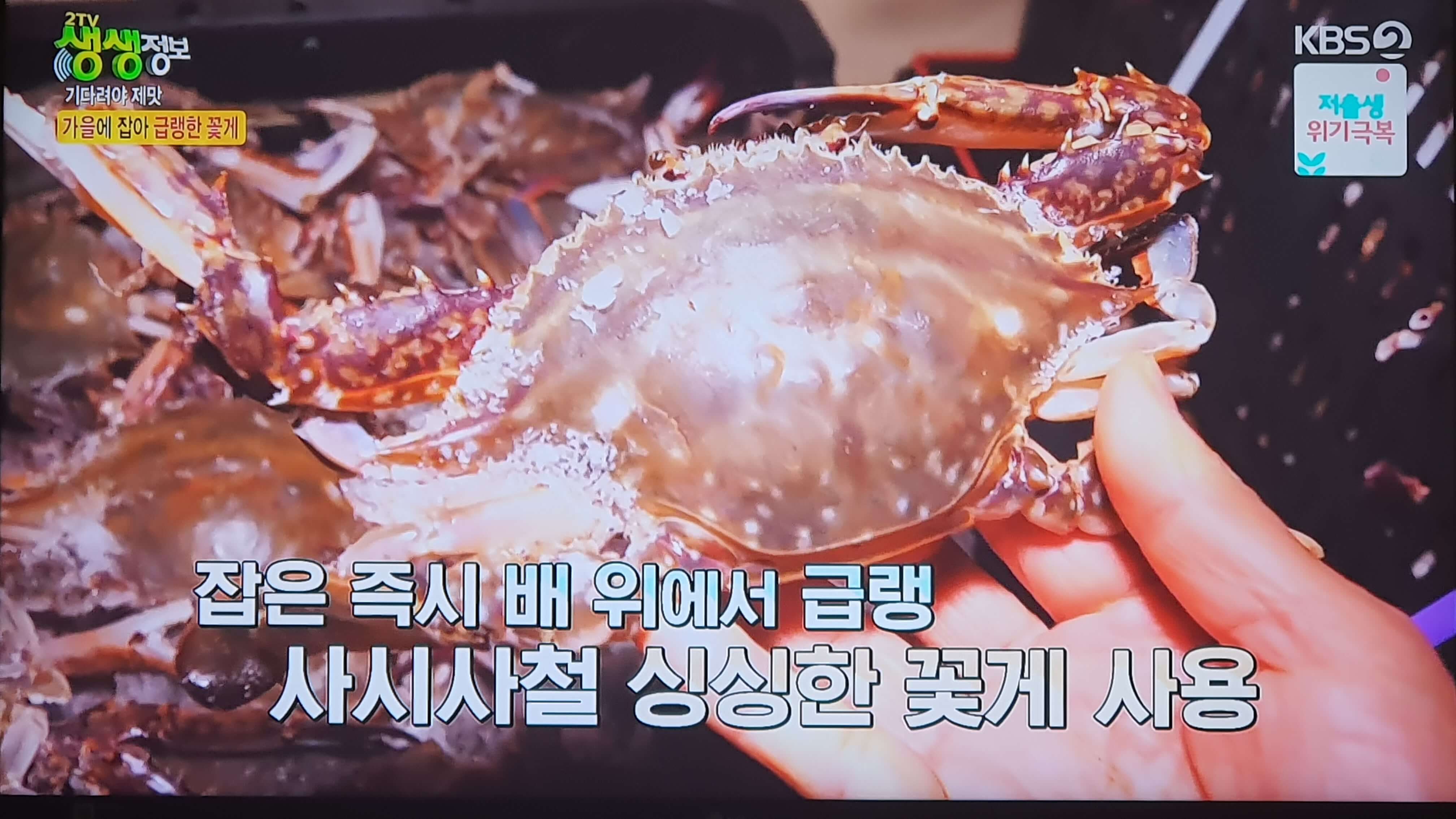 생생 정보통 맛집 맛의 비결