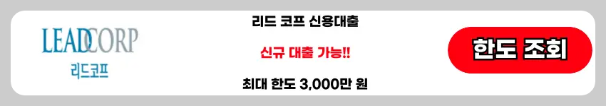 신규-대부-대출