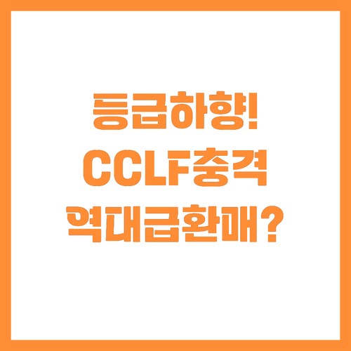 CCLF 펀드 등급 전망 하향과 역대..