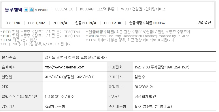 블루엠텍 주가 기업개요 (0508)