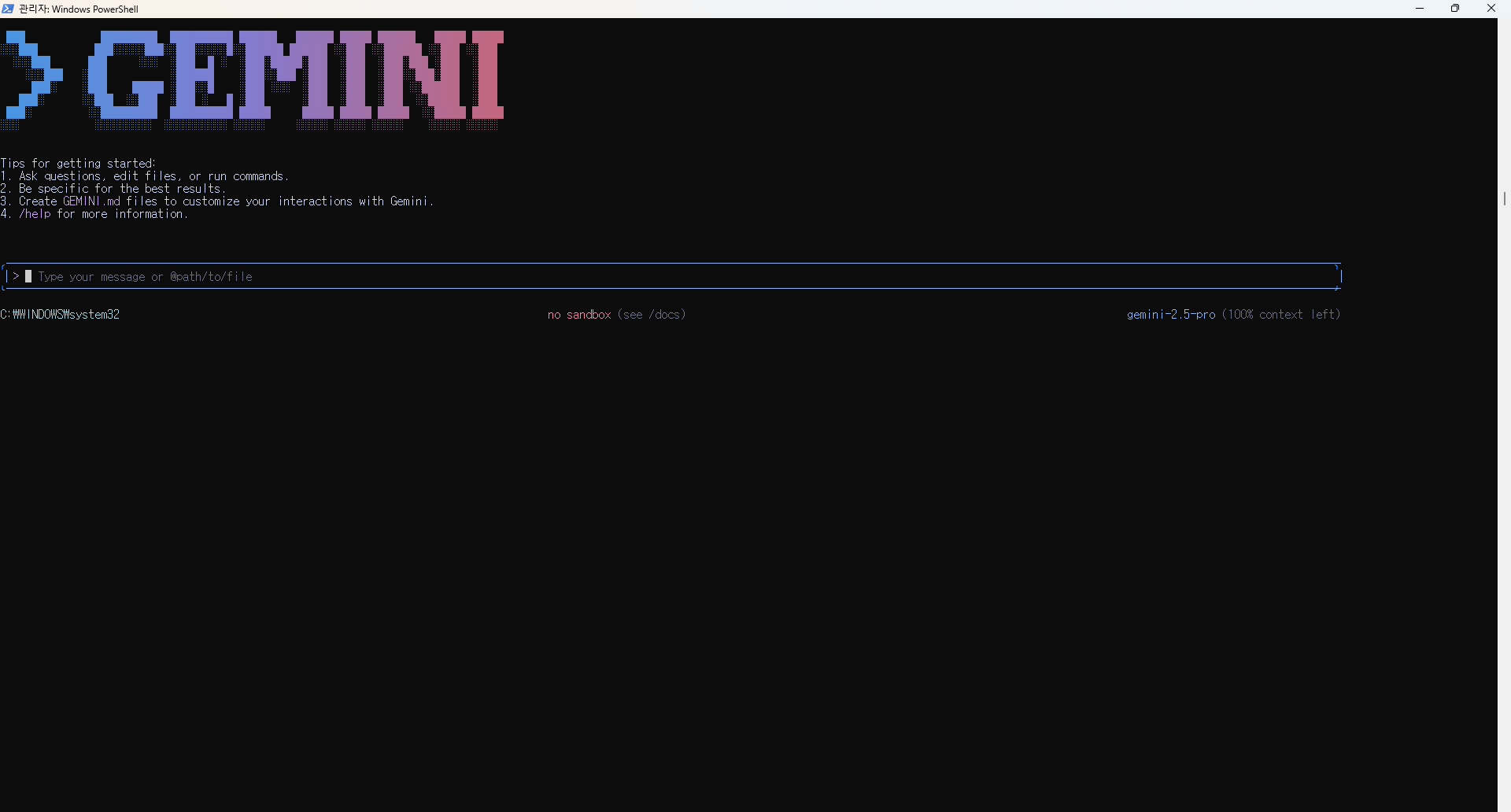 gemini 실행3