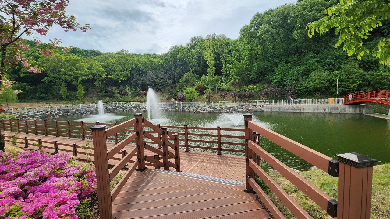 베툴라 카페 방문후기 이미지