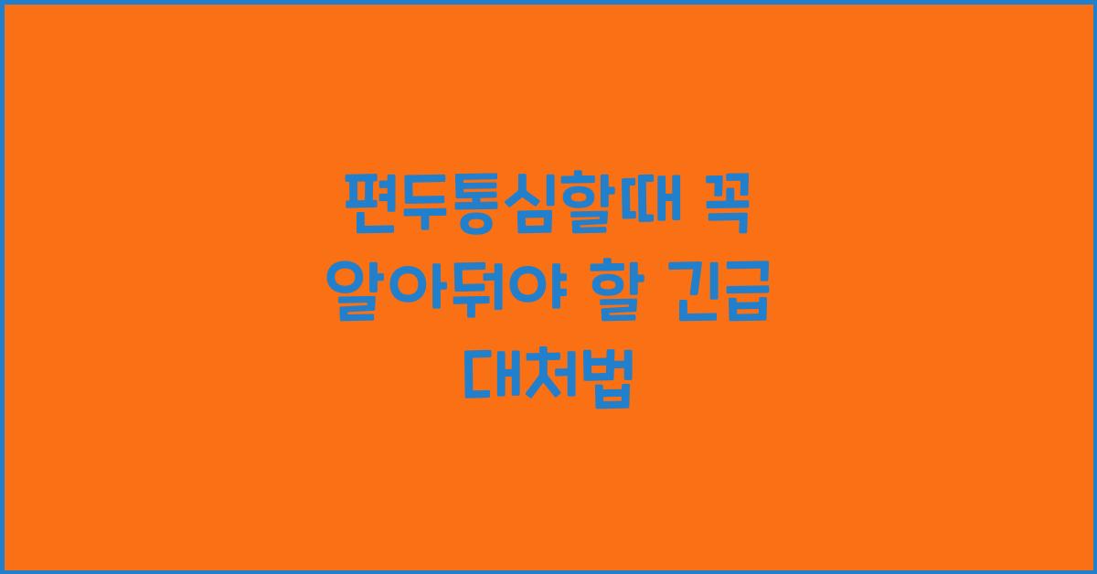 편두통심할때