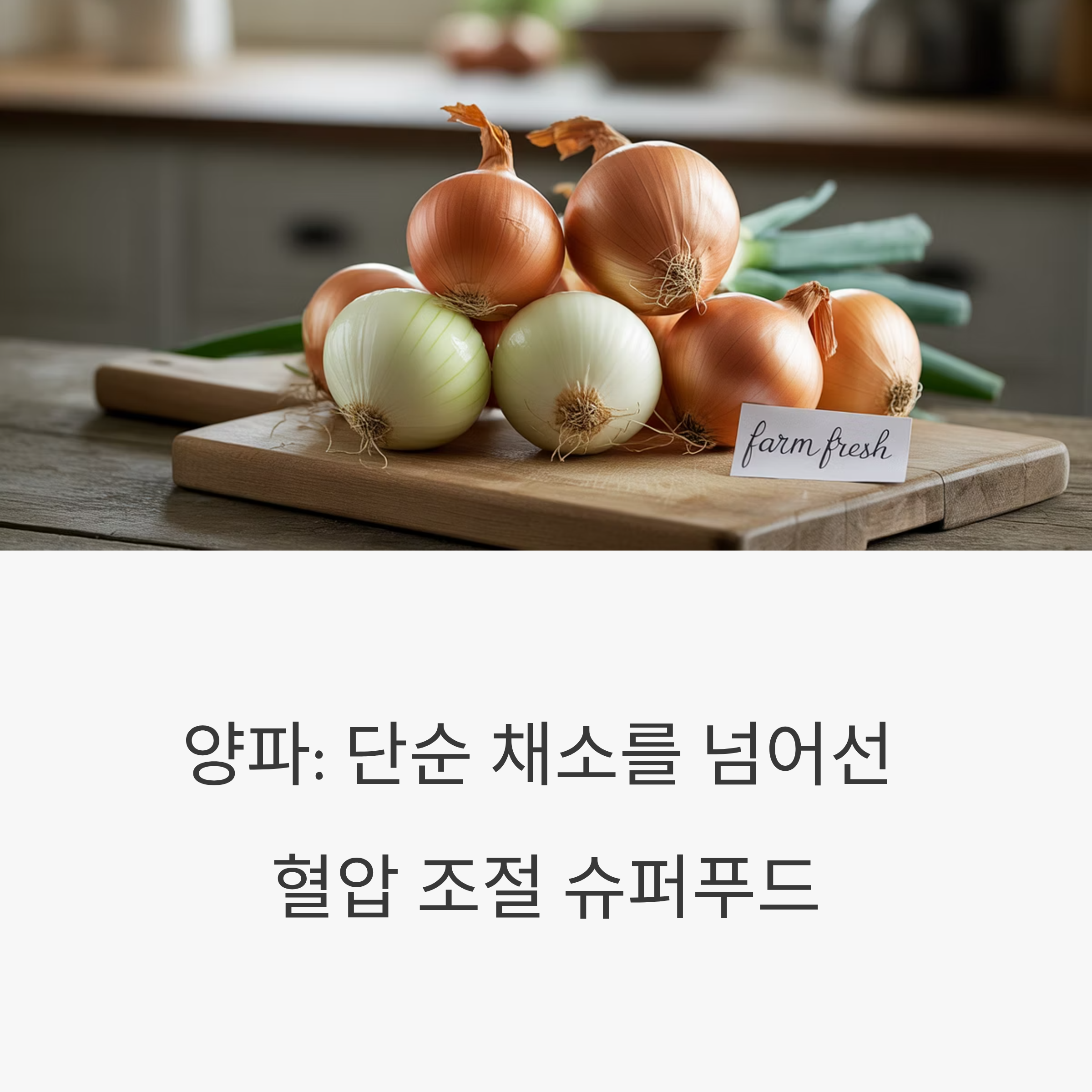양파 혈압 효능