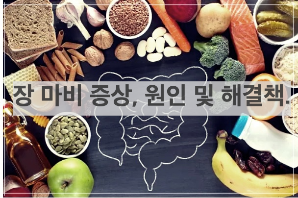 장 마비 증상&#44; 원인 및 해결책.