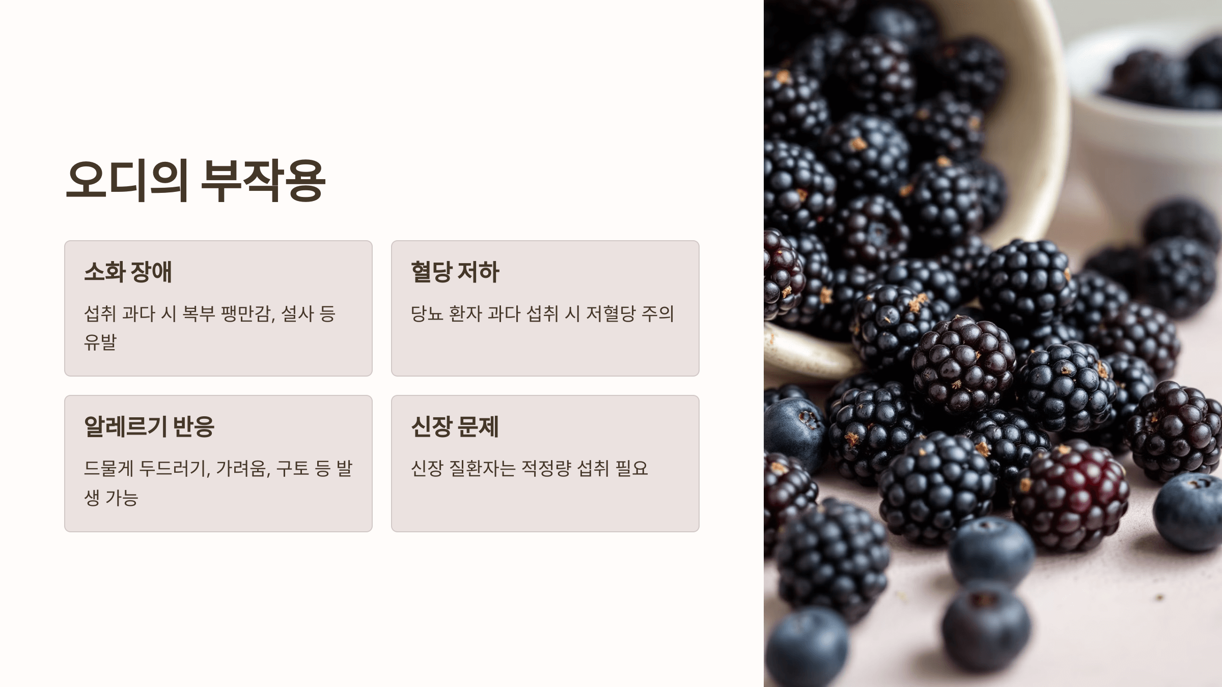 오디 사진입니다.