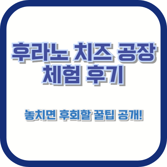 후라노 치즈 공장 체험 후기: 놓치면 후회할 꿀팁 공개!