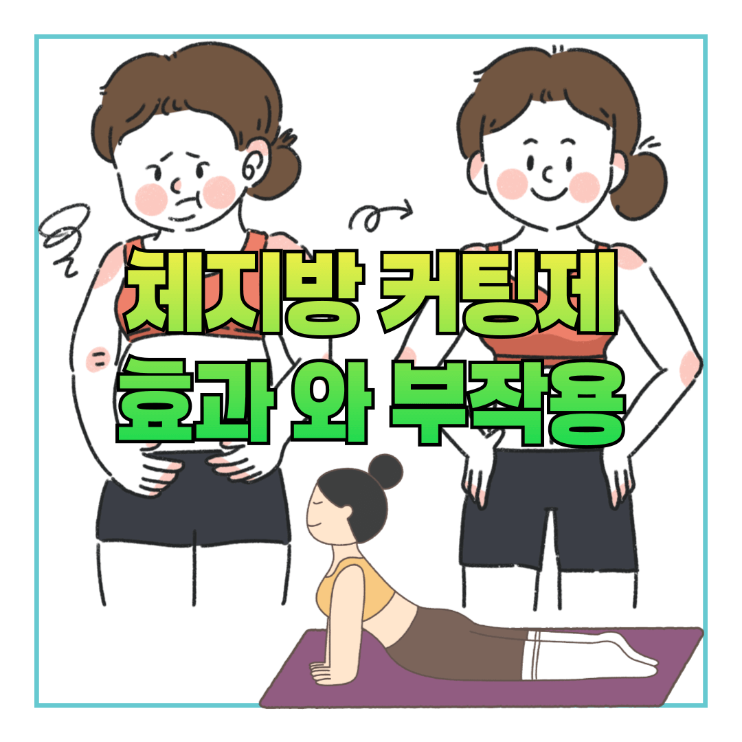 체지방 커팅제 - 효과와 부작용