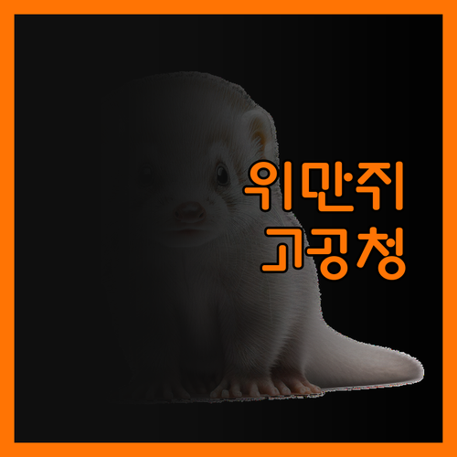위만쥐 고공청징컴팩트 숨겨진 매력 발