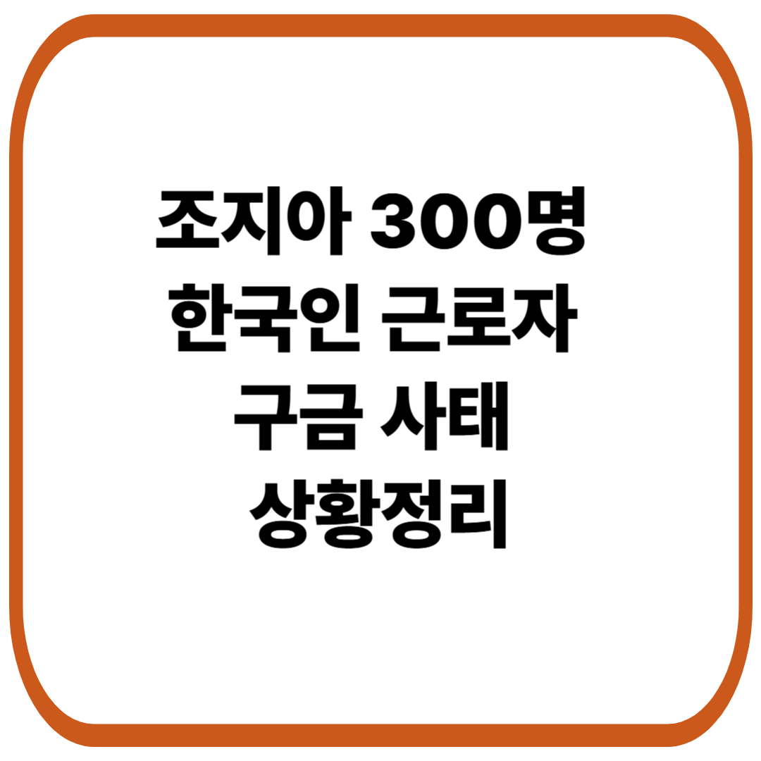 조지아 현대차-LG 배터리공장 한국인 근로자 구금 사태 상황 정리