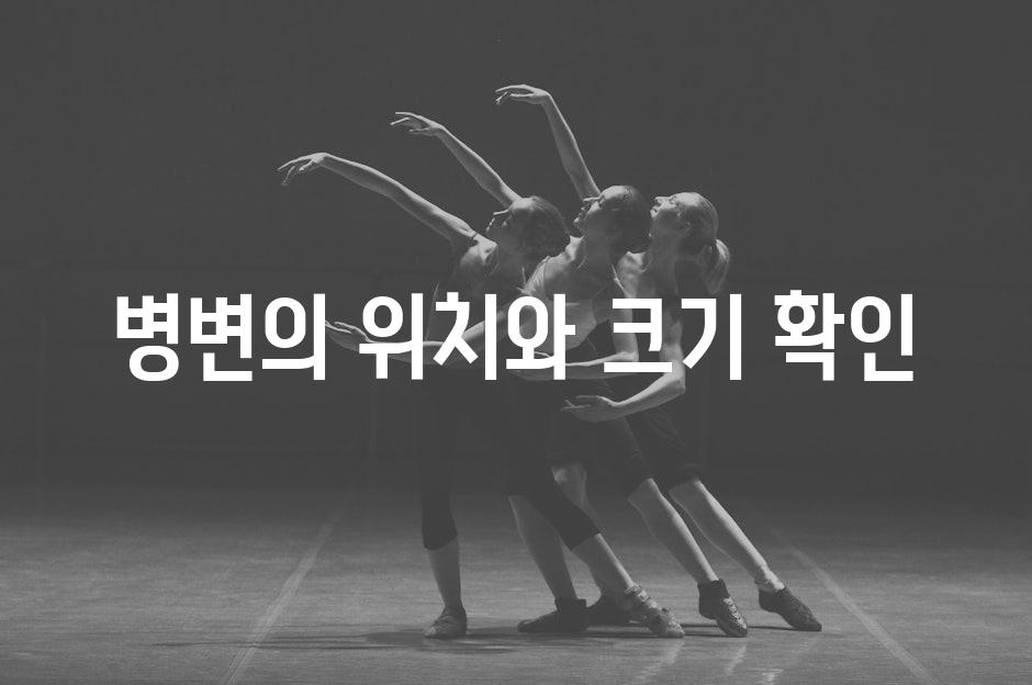 병변의 위치와 크기 확인