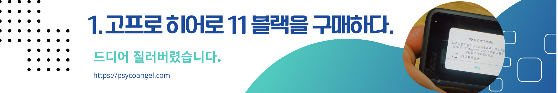 고프로 히어로 11 블랙을 구매하다