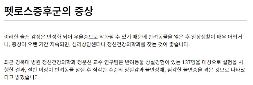 펫로스-증후군-극복-방법-5가지-알아보기
