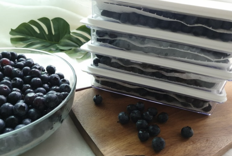 블루베리 냉장 보관방법 이미지