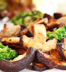 표고마루 버섯랜드