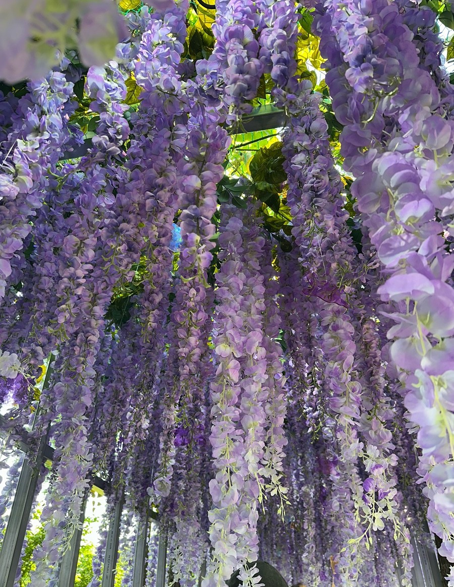 메타몽 프로젝트 : 메타몽 가든