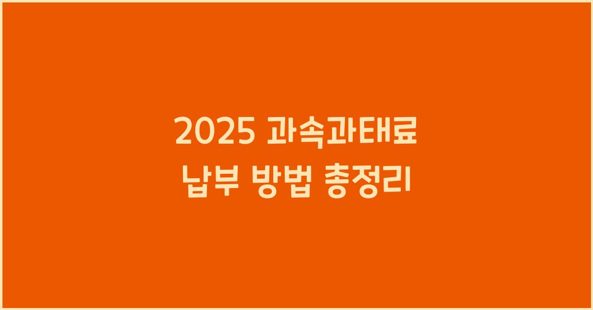 2025 과속과태료 납부