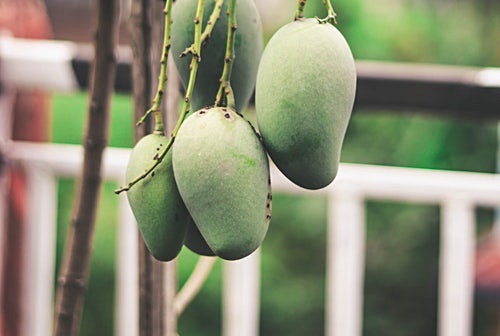 4. 소화불량 해결