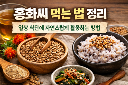 홍화씨 먹는 법