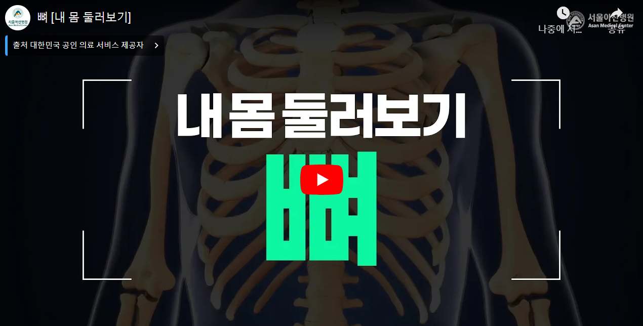 내몸 둘러보기 "뼈"