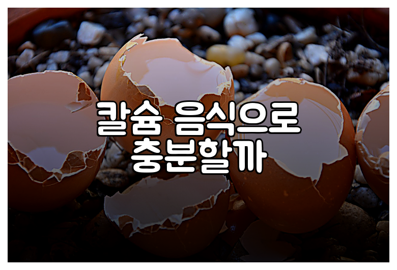 칼슘 음식으로 충분할까