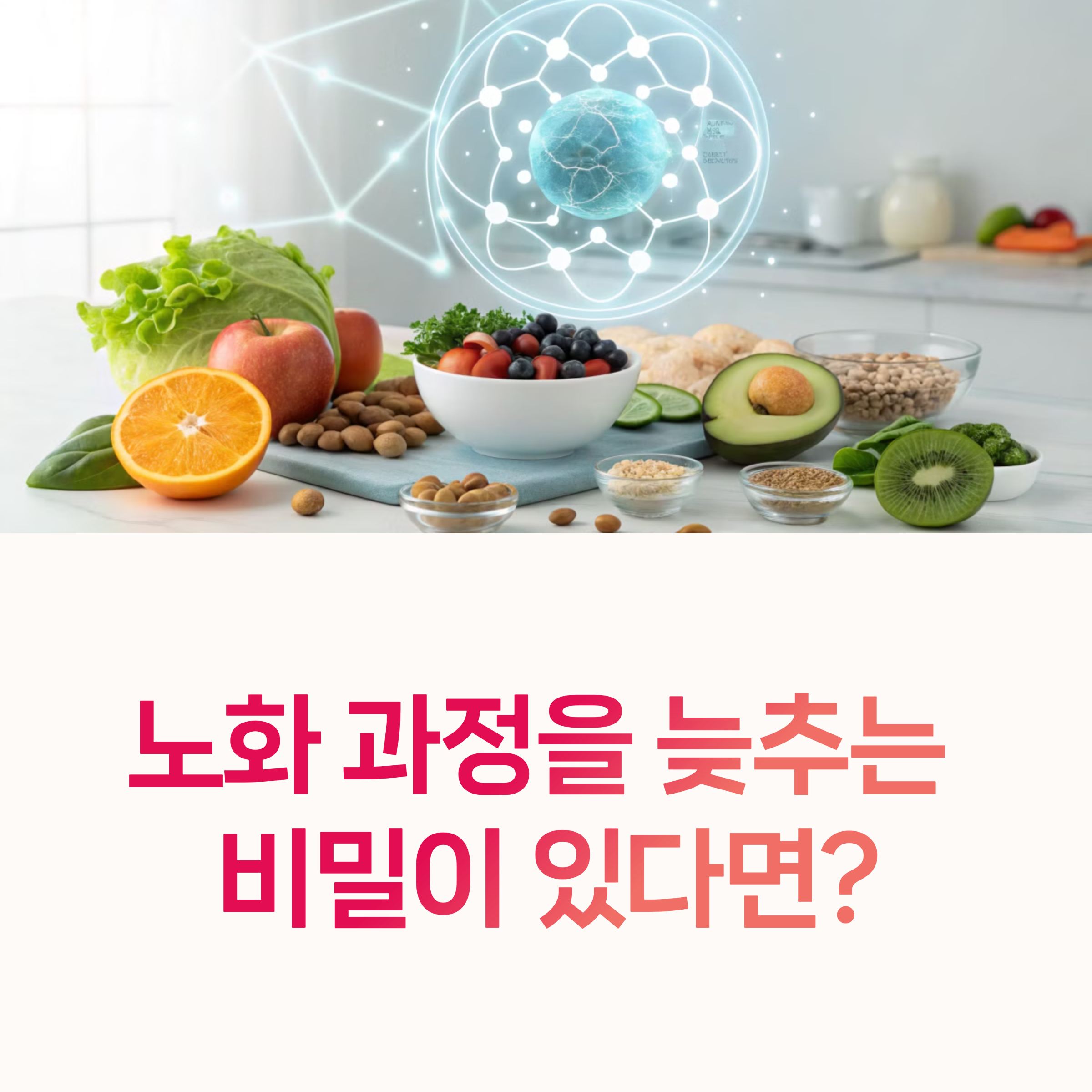 NMN, 항노화식품,