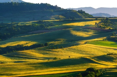 농지임대, 영농계약, 농업관련 교육이수