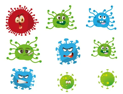 니파바이러스(Nipah Virus) 정보 & 감염 예방법
