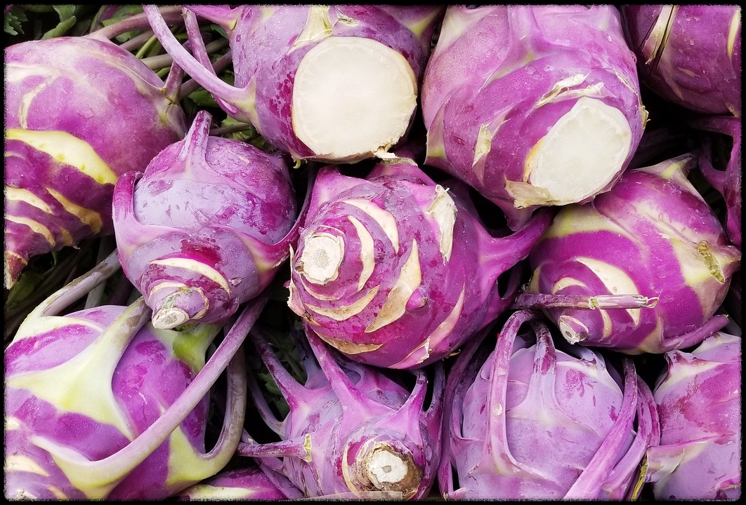 콜라비관련이미지17