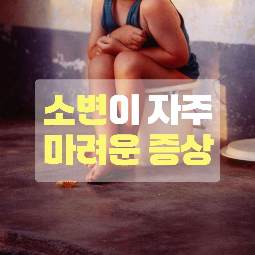 소변이 자주 마려운 증상